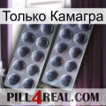 Только Камагра 31